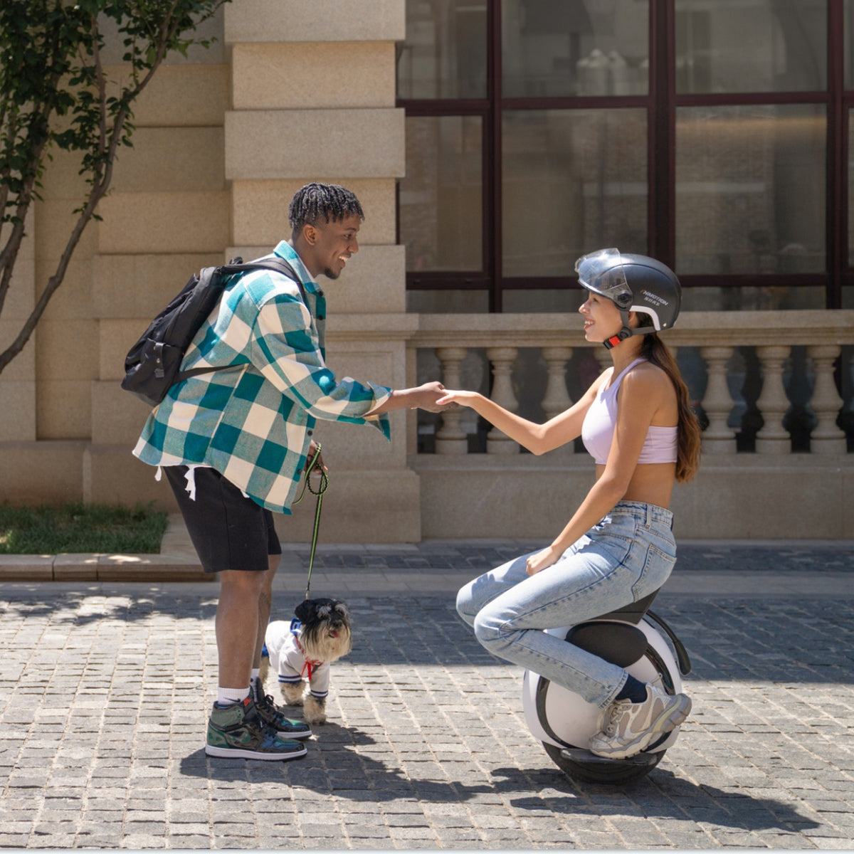 E-Unicycle InMotion E20