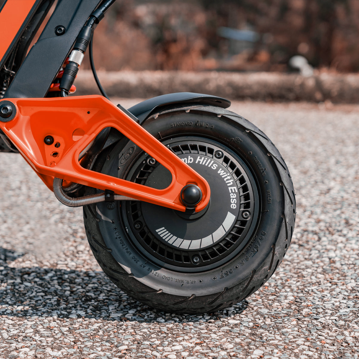 Stand E-Scooter InMotion RS Lite