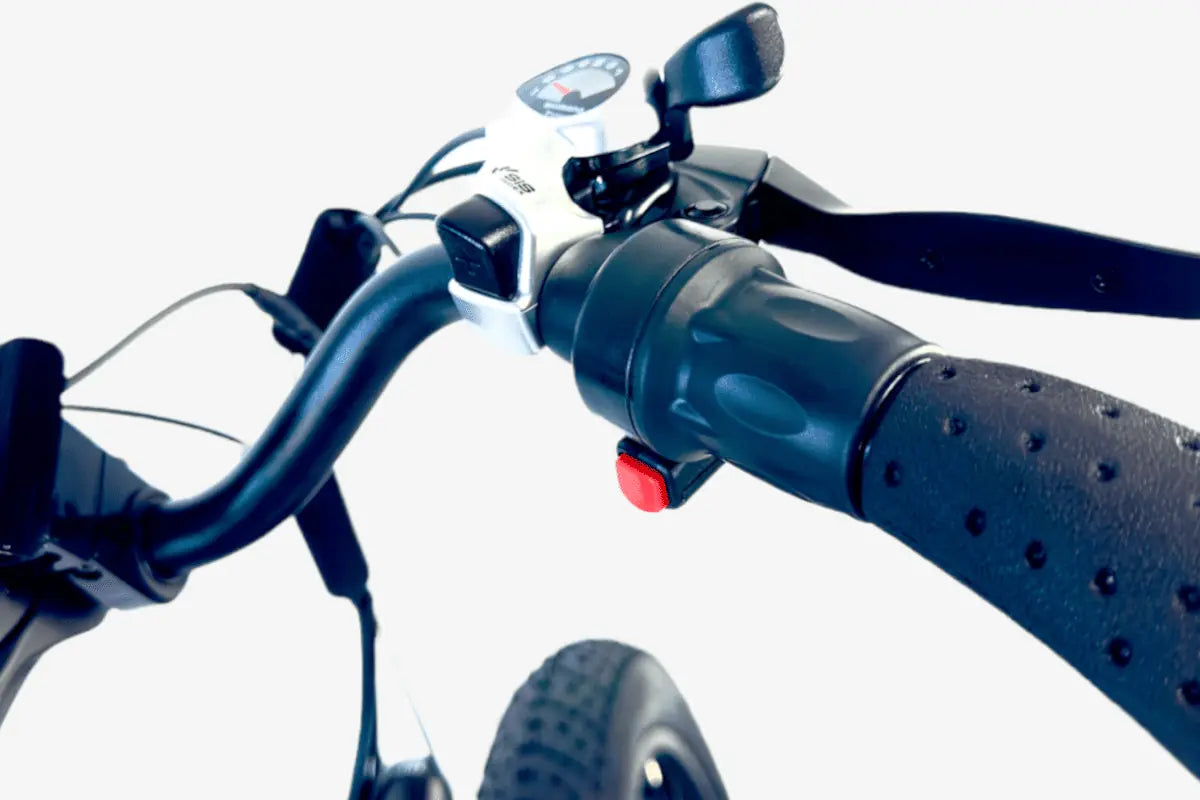 E-Bike VONAX Step-Thru 01