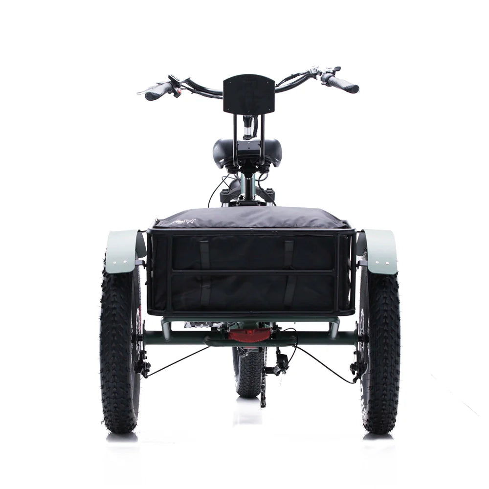E-Trike Oh Wow Conductor 750