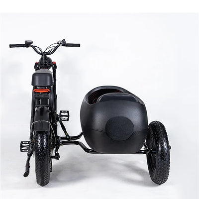 Rent E-Bike (SideCar)