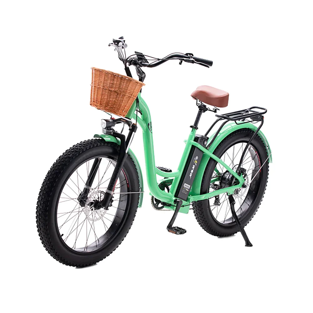evolt electric bicycle E-Bike Oh Wow NRG