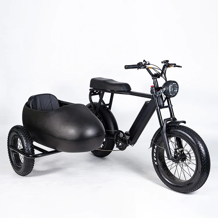 Rent E-Bike (SideCar)