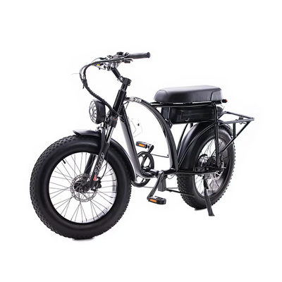 E-Bike Oh Wow Voltaic 750