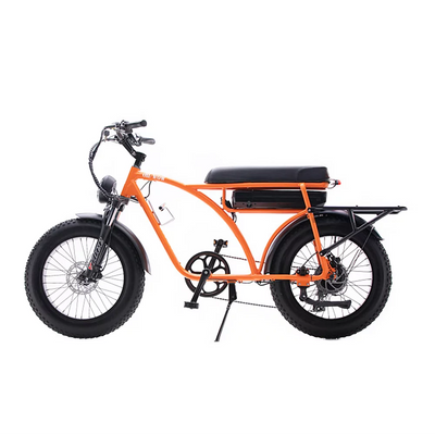 E-Bike Oh Wow Voltaic 750